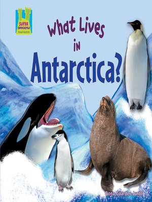 cover image of What Lives in Antarctica?